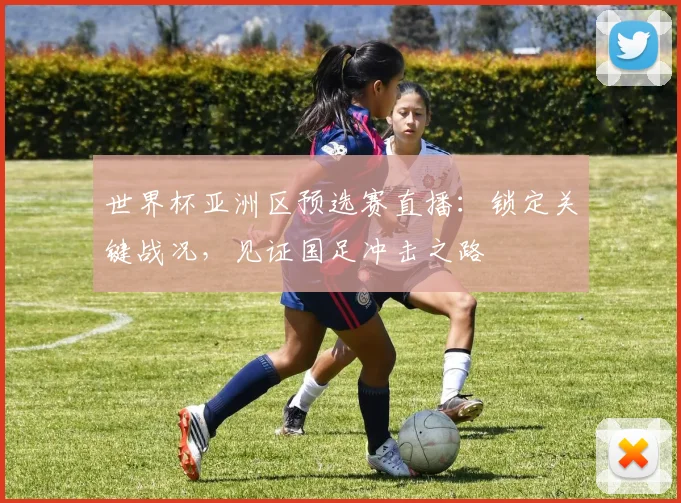 世界杯亚洲区预选赛直播：锁定关键战况，见证国足冲击之路