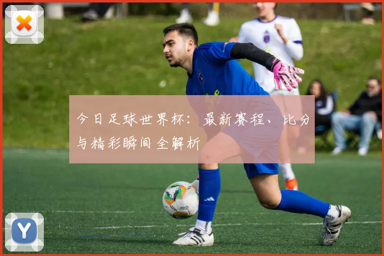 今日足球世界杯:最新赛程、比分与精彩瞬间全解析