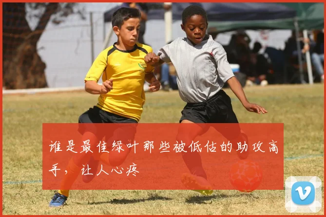 谁是最佳绿叶那些被低估的助攻高手,让人心疼